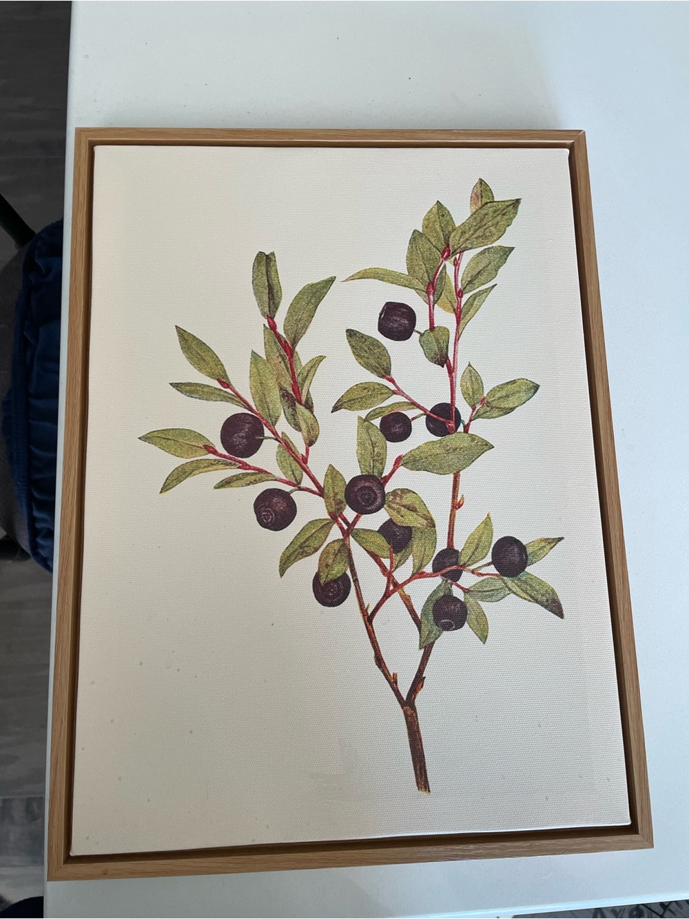 Botanical Berry Branch Wall Art - Green & Purple Canvas Print - 11 1/2” x 16” in
